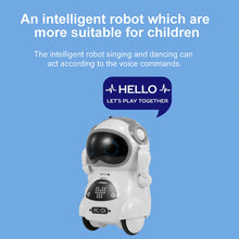 Load image into Gallery viewer, HOBBY Pocket RC Robot